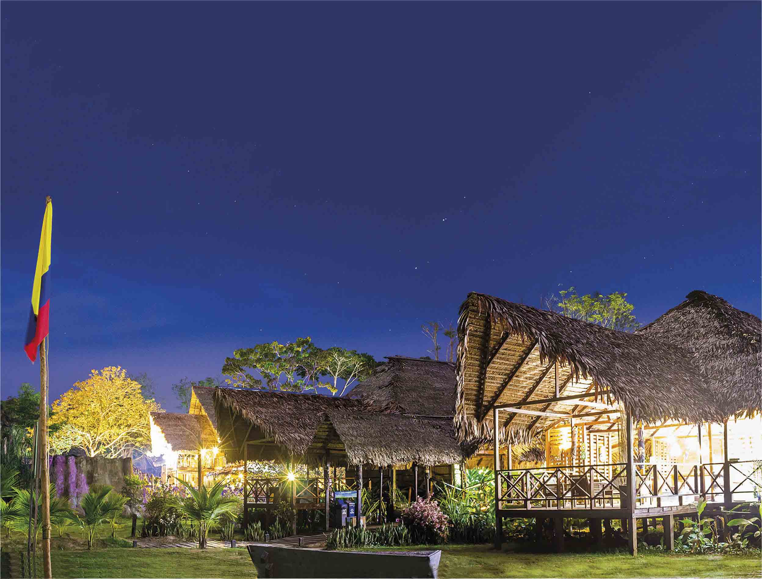 Ficha Amazonas