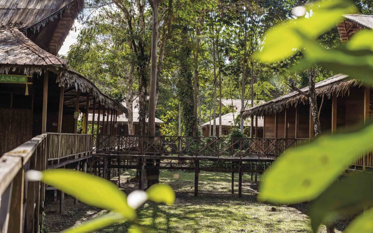 Ficha Amazonas