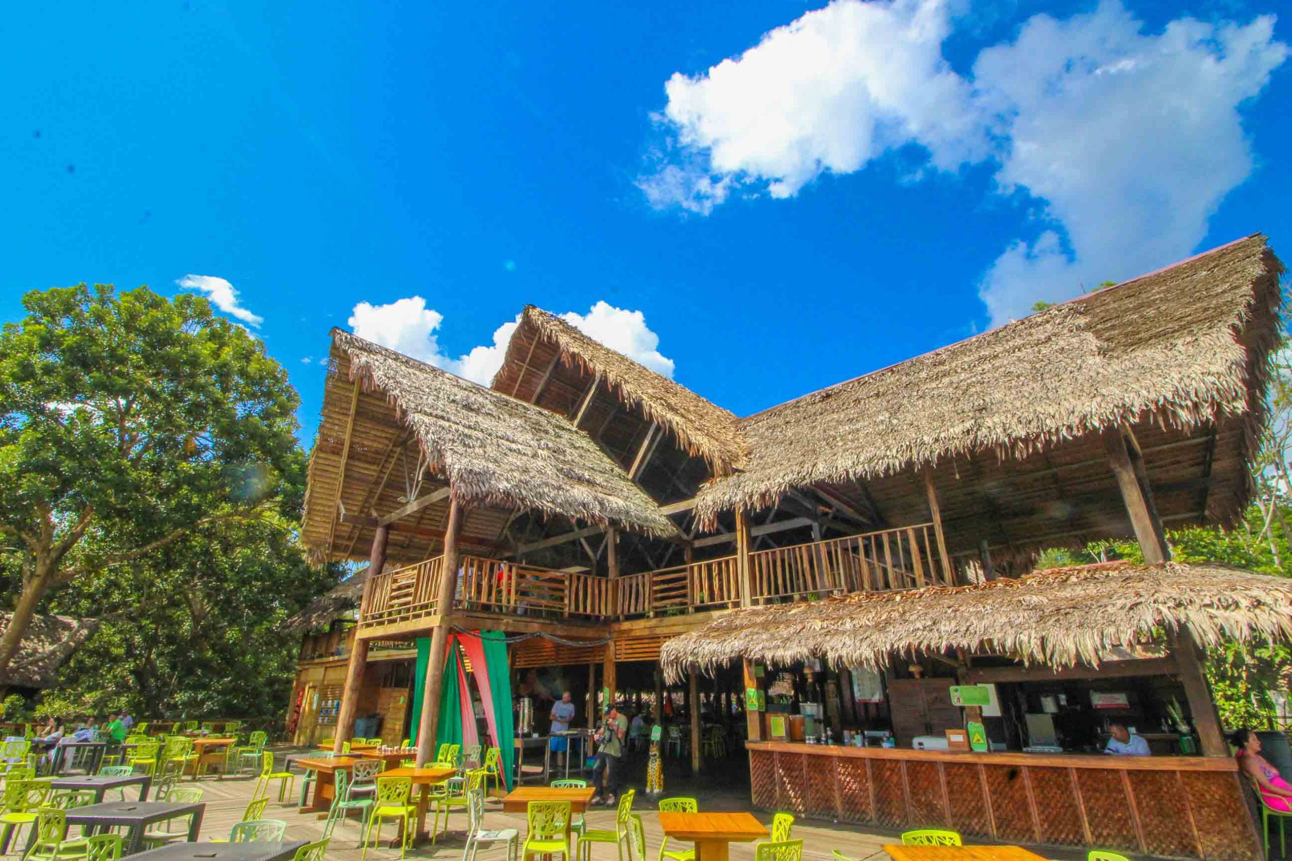 Ficha Amazonas
