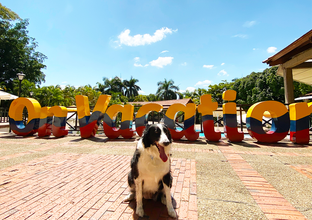 ON VACATION – GIRARDDOT – HOTEL GIRARDOT RESORT – PETFRIENDLY