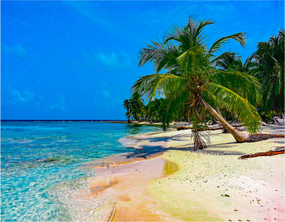 Ficha Playa Blanca 2022