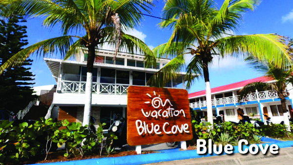 Blue Cove