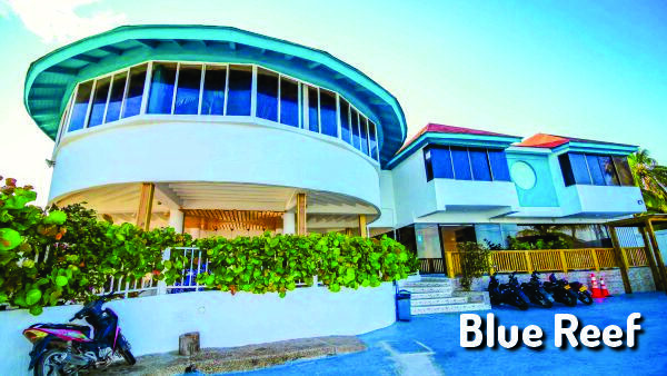 blue reef